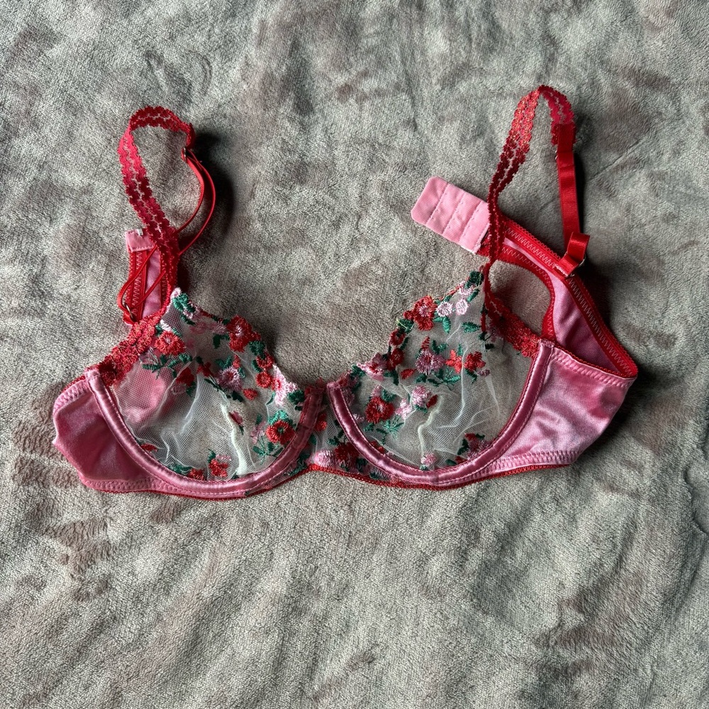 Floral Lace Underwire Bra - Pink and Red